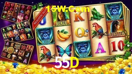 Promoção Relâmpago 55D